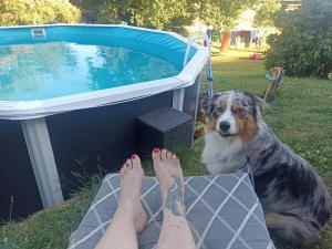 B&B / Chambres d'hotes Le nid du Colibri : photos des chambres