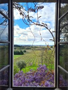 Appartements La Bastide de Peyremale, gites en Cevennes, piscine, tennis : photos des chambres