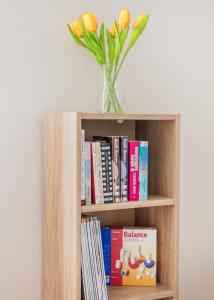 Stylish new apartment with 2 bedrooms in Buda 2