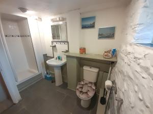 Horseshoe Cottage Aberaeron