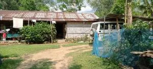 Necu Homestay - Lakema