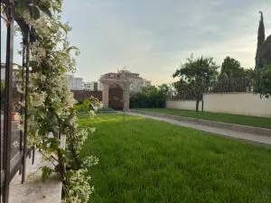 The Good Place - Tomaiolo