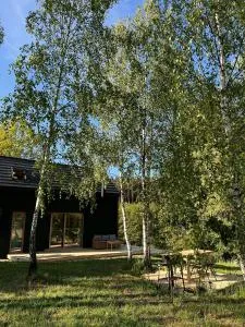 Taras i las - Sąpłaty