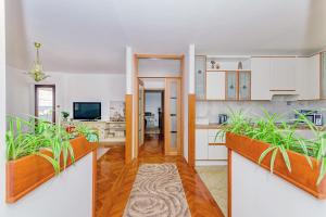 Holiday apartment Kali - Ugljan island