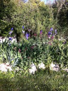 Maisons de vacances Les Merles : joli studio dans la campagne Aixoise. : photos des chambres