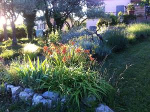 Maisons de vacances Les Merles : joli studio dans la campagne Aixoise. : photos des chambres