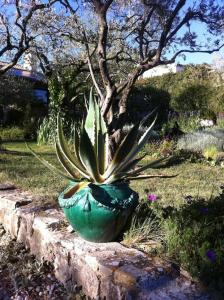 Maisons de vacances Les Merles : joli studio dans la campagne Aixoise. : photos des chambres
