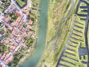 Appartements La Suite Oceane : photos des chambres