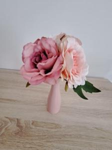 Moderný 2 izbový dom so záhradou a terasou blízko Bratislavy