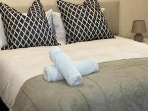 Protea on Main Valley of 1000 hills - Bothaʼs Hill