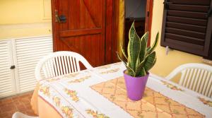 Sardinian Gallery Porto Seaview Terrace