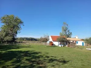 Charmant gîte au cœur de la nature et des animaux - Riez