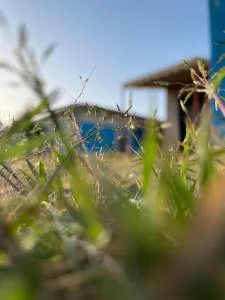 استراحة ديم - Sawdāʼ