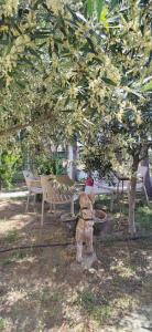 House of Artemis D in Asprovalta