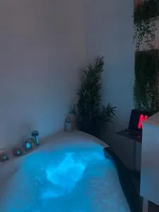 Le Somptueux, Cosy / Balnéo - Pennautier