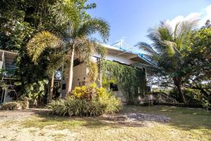 Ocean and Jungle views! AC, Wi-Fi, kitchen