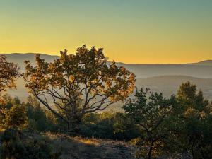 Villas Mas La Rose Sauvage - magnificent Luberon views : photos des chambres