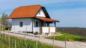 WeinSpitz - Wellness House 