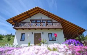 Еміліана - Yalynkuvate