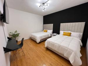 Spacious Apartments in the Chic Polanco District