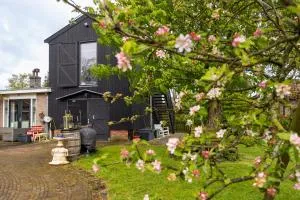 Studio Hooischuur Alkmaar/Bergen - Sint Pancras