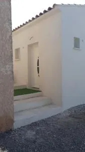 coquillage - Saint-Mitre-les-Remparts