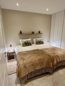 Dolphin Beach Cabana