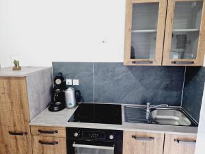 Appartements AU BON PLAN : Appartement 1 Chambre