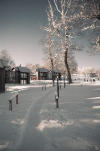 RentUp - Experimenta la belleza de San Martin de los Andes