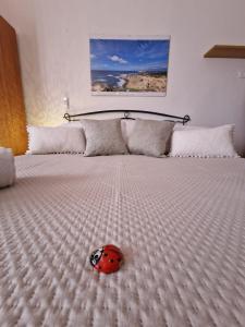 Mammaioa house img41