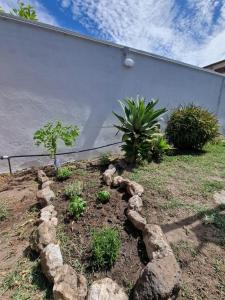 Mammaioa house img11