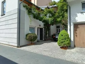 KIWI Apartament - 穆希纳