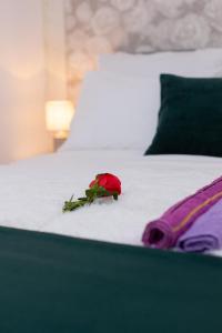 Apartmani Marin 