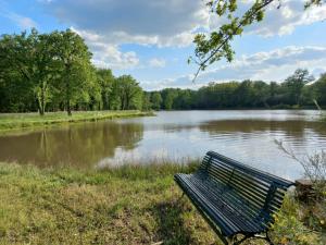 Villas Domaine du Grand Nouer : photos des chambres