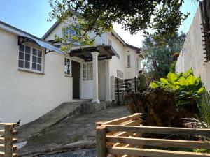 Protea on Main Valley of 1000 hills