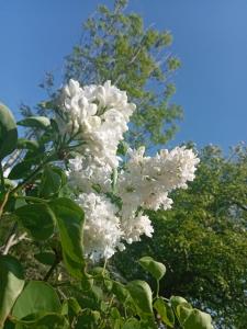 Entre terre et mer - 3hvězdičkové hotely ve městě Camiers