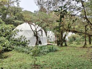 Refugio La Paz EcoGlamping