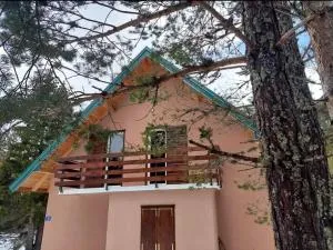 Wild Peace - Zminica