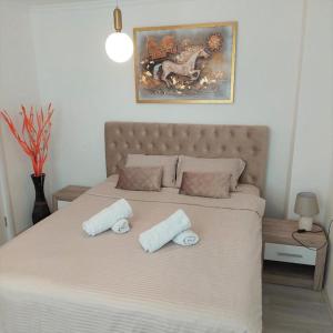 City lux apartment Skopje