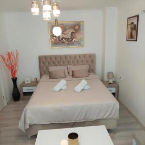 City lux apartment Skopje