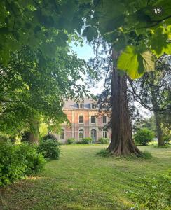 Villas Les sequoias geants : photos des chambres
