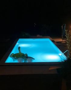 Villa Teresa