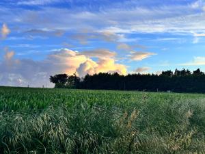 Villas Domaine de Kerhastel : photos des chambres