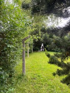 Fantástica Casa Barco