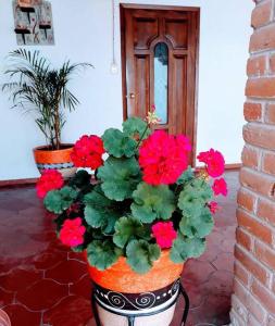 Casa Jacarandas