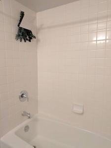 Stylish Apartment in Bakersfield close to CSUB