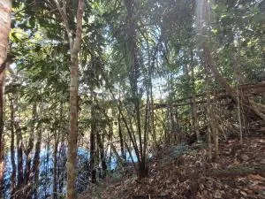 Sweet Home - Iranduba