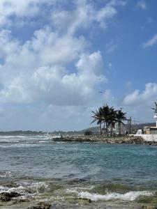 POSADA NATIVA MISS ETHEL