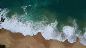 Soma Villa, HomeStay & Restaurant - Ranna