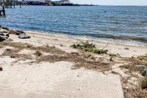 Town of Dewey Beach --- 309 Salisbury